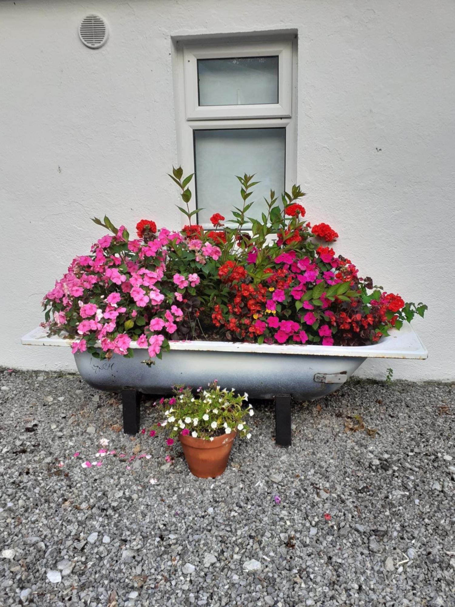 Cummins Cottages Ballycrossaun Exterior photo