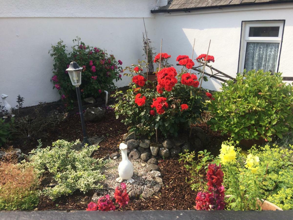 Cummins Cottages Ballycrossaun Exterior photo